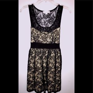 Faith 21 XL Lace Midi Cocktail dress